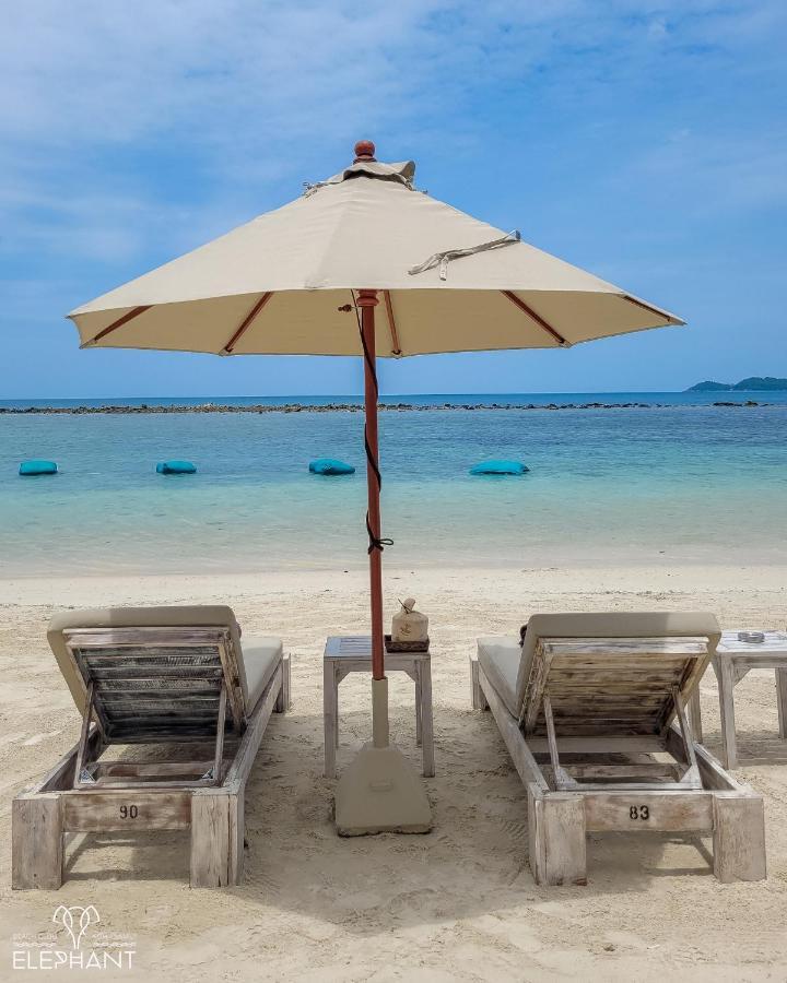 Resort Elephant Club & Samui Strand von Chaweng