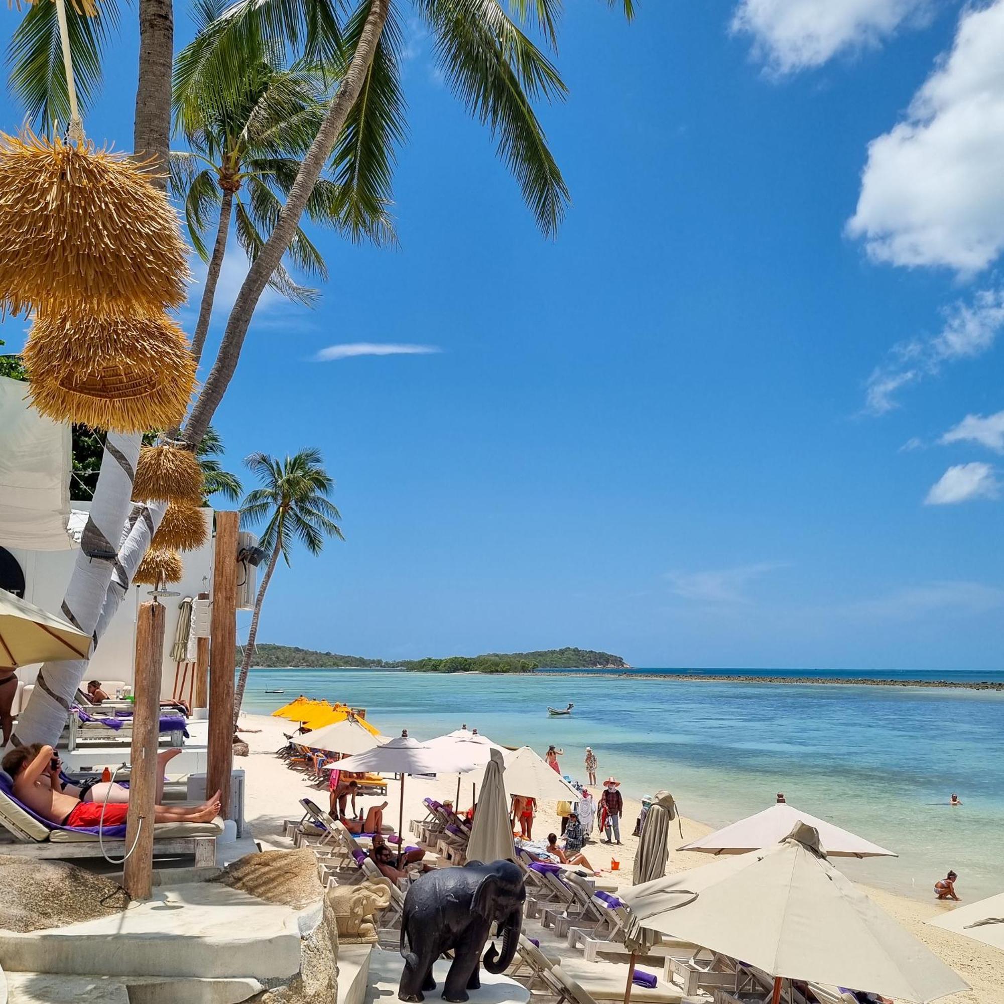 Elephant Club & Samui Strand von Chaweng